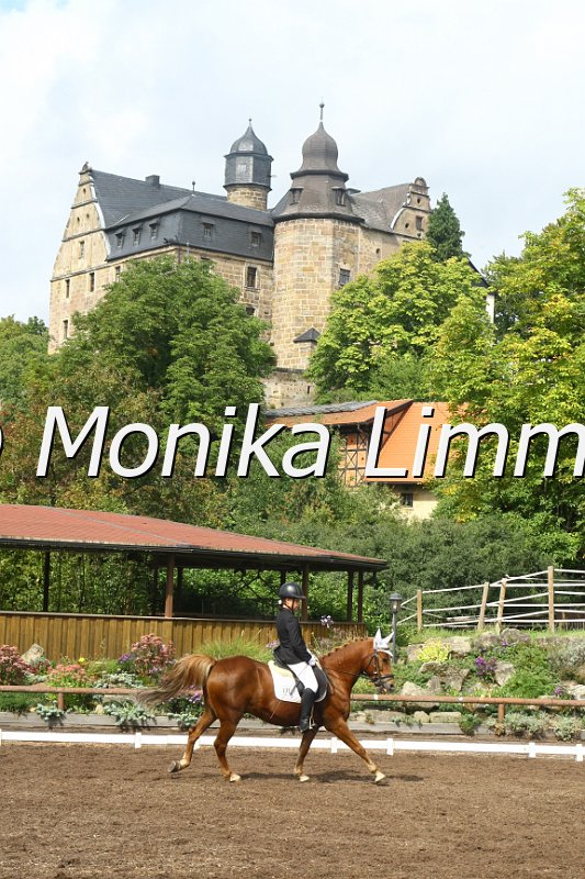 109M4072_Amadeus_Dressur E.JPG